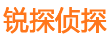 龙潭市调查公司